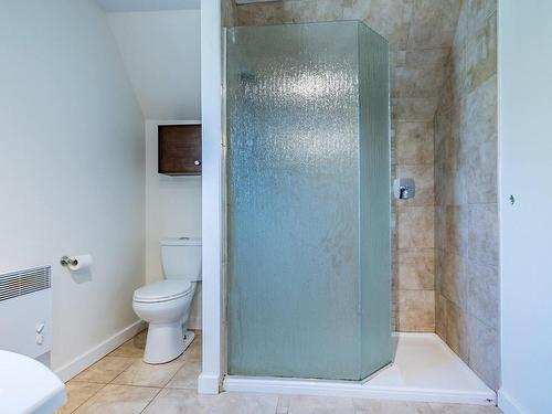 Bathroom - 2275 Rg Bas-De-La-Riviere, Nicolet, QC - Indoor Photo Showing Bathroom