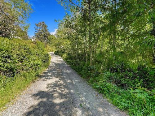 2067 Arleigh Pl, Sooke, BC - Outdoor With View
