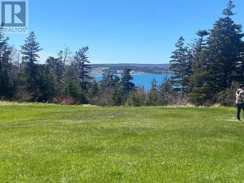 107 Hynes Road, Port Au Port East, NL - Outdoor With View