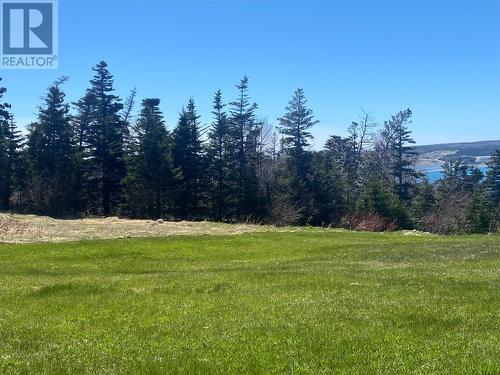 107 Hynes Road, Port Au Port East, NL - Outdoor With View