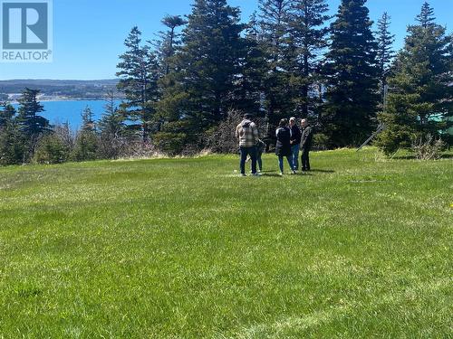 107 Hynes Road, Port Au Port East, NL - Outdoor With View