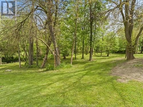 3045 Arner Townline, Essex, ON - Outdoor With View