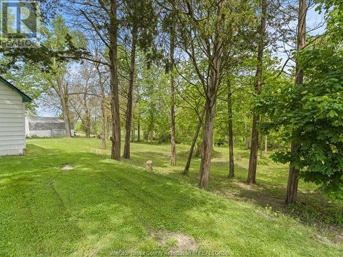 3045 Arner Townline, Essex, ON - Outdoor With View