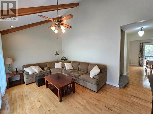 4 River Park Place, Corner Brook, NL - Indoor Photo Showing Living Room With Fireplace