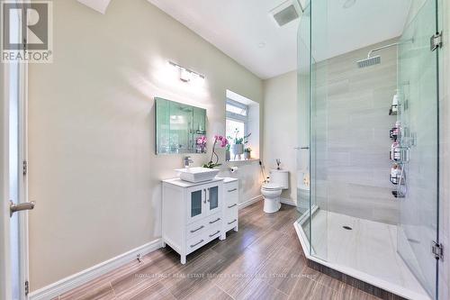 3949 Greenlane Road, Lincoln, ON - Indoor Photo Showing Bathroom
