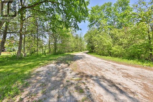 3949 Greenlane Road, Lincoln, ON - Outdoor