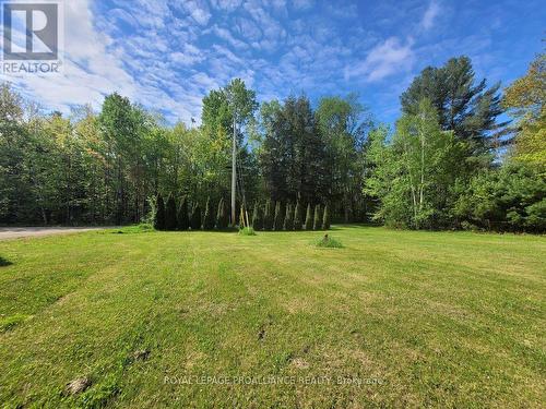 1022 Bordenwood Road, Central Frontenac, ON - Outdoor