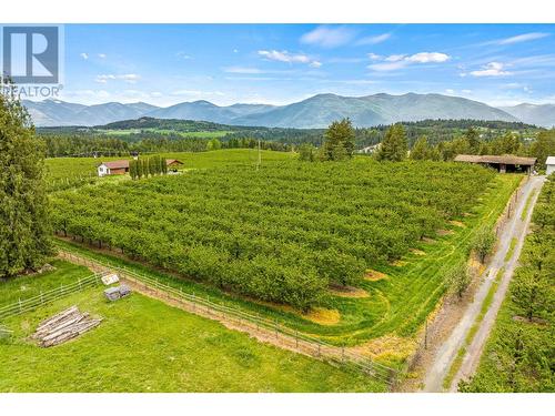 3982 48Th  Street, Creston, BC - Outdoor With View