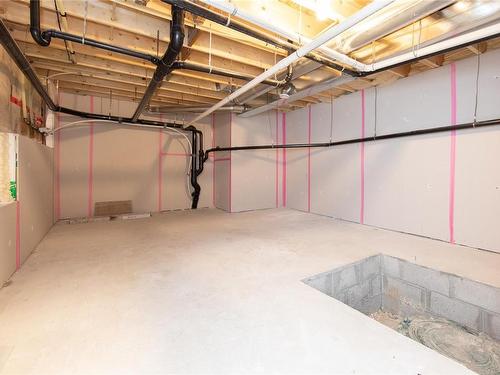 4557 Suncrest Rd, Nanaimo, BC - Indoor Photo Showing Basement