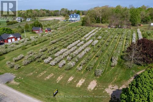 2965 County Road 8, Prince Edward County, ON 