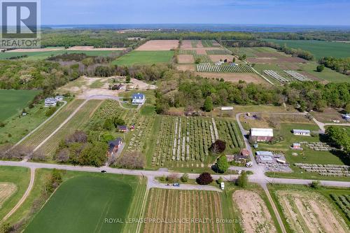 2965 County Road 8, Prince Edward County, ON 