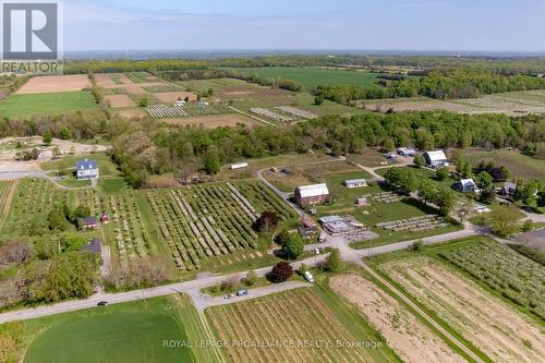 2965 County Road 8, Prince Edward County (North Marysburgh), ON 