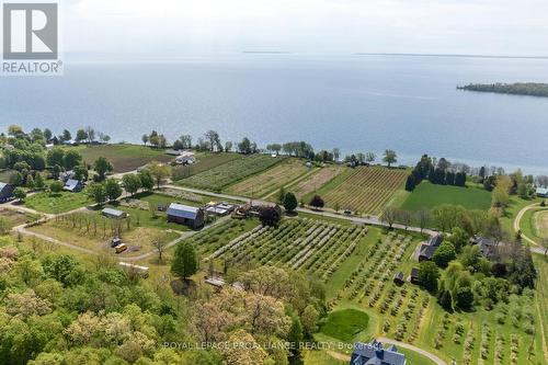 2965 County Road 8, Prince Edward County, ON 