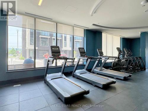 30 Andres Common, Grimsby, ON - Indoor Photo Showing Gym Room