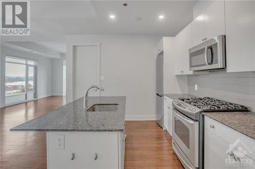 100 Champagne Avenue S Unit#1004, Ottawa, ON - Indoor Photo Showing Kitchen With Upgraded Kitchen