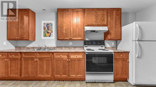 598 Mapledale Avenue, London, ON - Indoor Photo Showing Kitchen With Double Sink