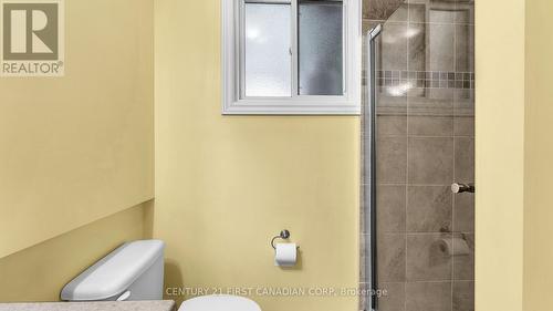 598 Mapledale Avenue, London, ON - Indoor Photo Showing Bathroom