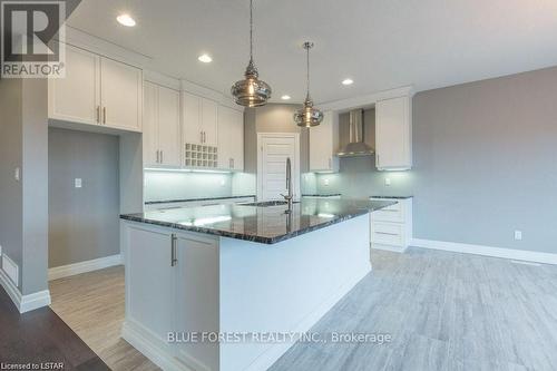 33 Woodland Walk, Southwold, ON - Indoor Photo Showing Kitchen With Upgraded Kitchen