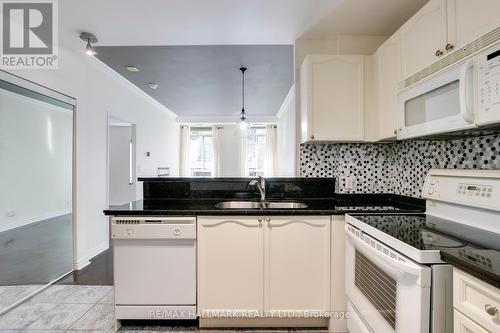 203 - 135 Maitland Street, Toronto, ON - Indoor Photo Showing Kitchen With Double Sink