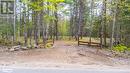 Part 11-12 Con 6 Haliburton Lake Road, Haliburton, ON 