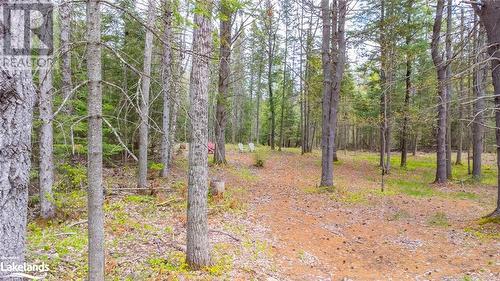 Part 11-12 Con 6 Haliburton Lake Road, Haliburton, ON 