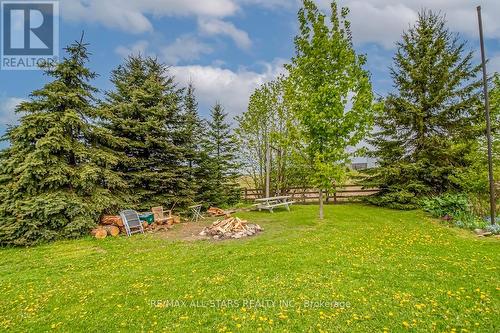 41 Beers Road, Kawartha Lakes, ON - Outdoor With View