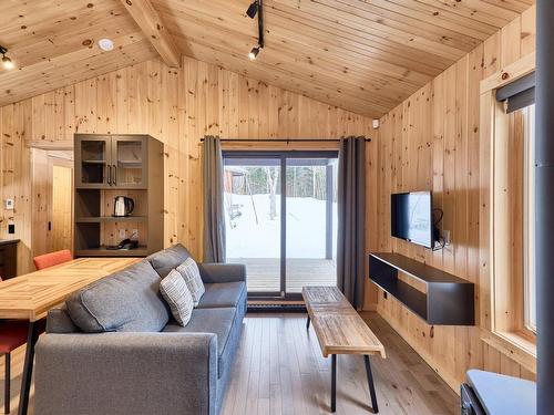 Living room - 24 Ch. Des Sources, Saint-Donat, QC - Indoor Photo Showing Other Room