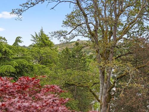 1498 Cranbrook Pl, Saanich, BC - Outdoor With View