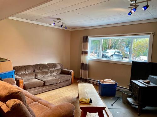 359 Washington Street N, Kaslo, BC - Indoor Photo Showing Living Room