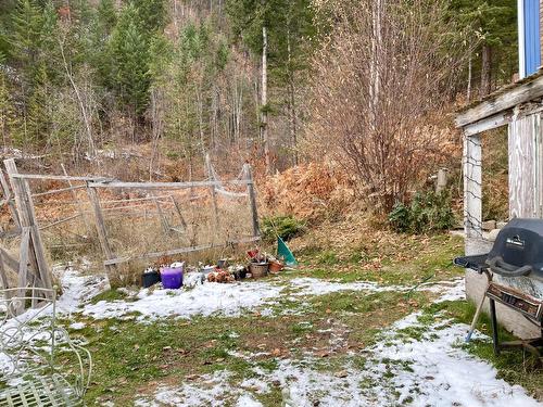 359 Washington Street N, Kaslo, BC - Outdoor