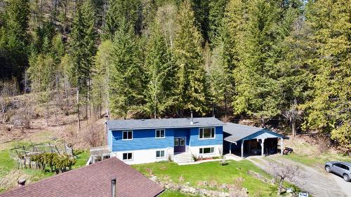 359 Washington Street N, Kaslo, BC - Outdoor