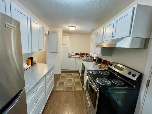 359 Washington Street N, Kaslo, BC - Indoor Photo Showing Kitchen