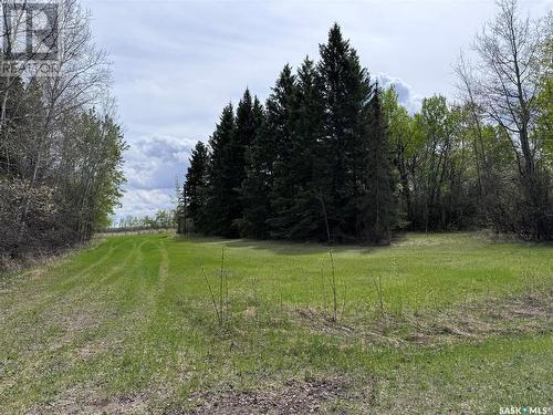 Smith Acreage, Pleasantdale Rm No. 398, SK - Outdoor With View
