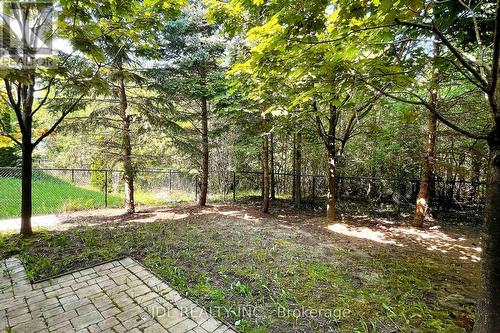110 Holly Drive, Richmond Hill, ON - Outdoor