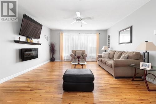 14 Clements Lane, Torbay, NL - Indoor Photo Showing Living Room With Fireplace