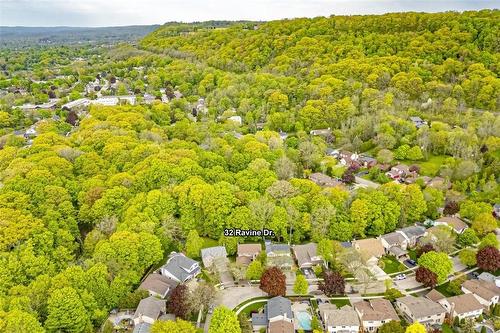 32 Ravine Drive, Hamilton, ON - Outdoor With View