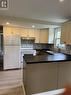 177 Park Road Unit# 8, Greater Sudbury, ON  - Indoor Photo Showing Kitchen With Double Sink 