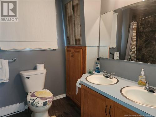 495 Tobique Road, Grand-Sault/Grand Falls, NB - Indoor Photo Showing Bathroom