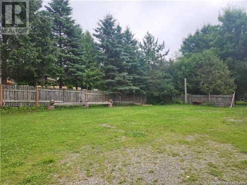 495 Tobique Road, Grand-Sault/Grand Falls, NB - Outdoor With Backyard