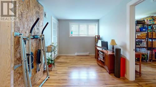 9 Rusted Place, St. John'S, NL - Indoor Photo Showing Other Room