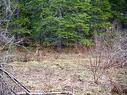 Lot A Millbrook Road, Watervale, NS 