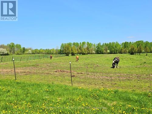 288 White Water Road, Pembroke, ON - Outdoor With View