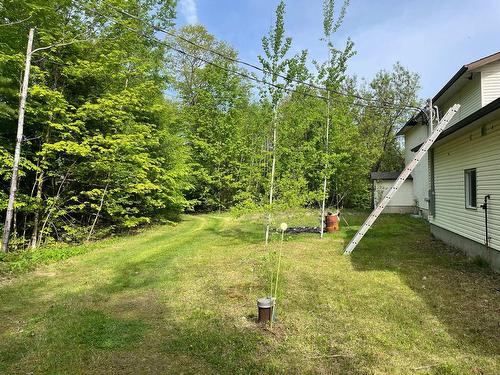 Land/Lot - 479 Ch. Du Chêne-Rouge, Val-Des-Monts, QC - Outdoor