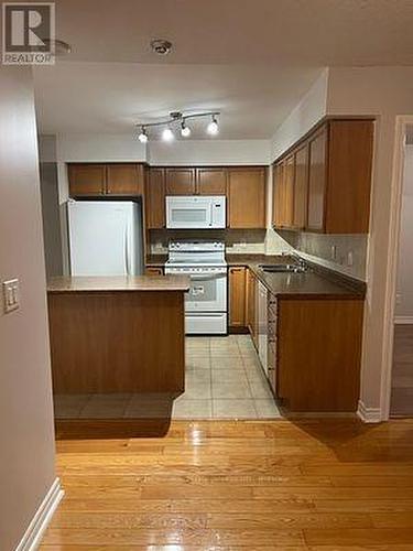 1508 - 4080 Living Arts Drive, Mississauga, ON - Indoor Photo Showing Kitchen