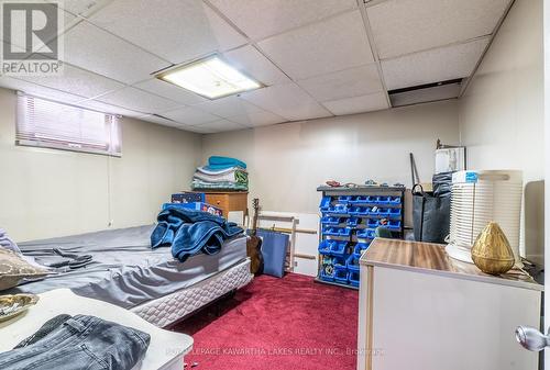 3 Digby Laxton Boundary Road, Kawartha Lakes, ON - Indoor Photo Showing Basement