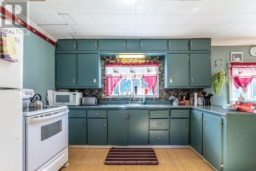 3 Digby Laxton Boundary Road, Kawartha Lakes, ON - Indoor Photo Showing Kitchen With Double Sink