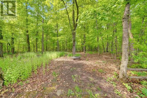 1679 County Road 5 Road, Prince Edward County, ON - Outdoor
