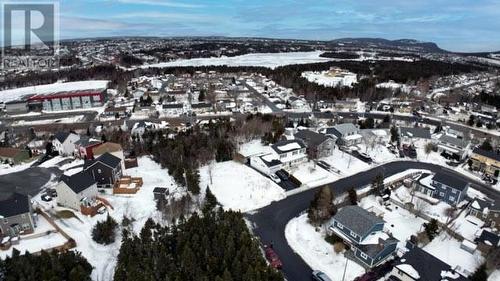 99 Maunders Lane, St. John'S, NL 