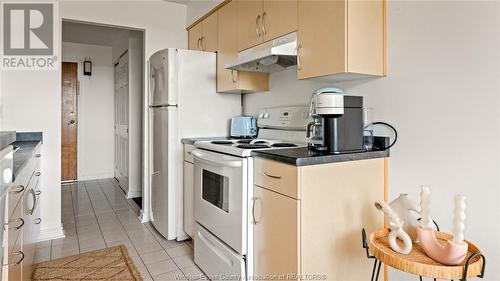 150 Park Street West Unit# 609, Windsor, ON - Indoor Photo Showing Kitchen