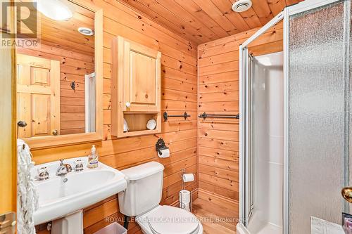 545413 Sideroad 4A Side Road, Grey Highlands, ON - Indoor Photo Showing Bathroom